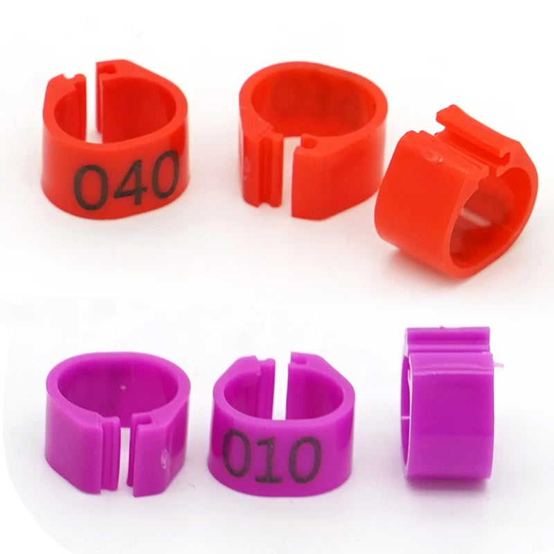 Anillos para Pies de Paloma y Aves de Corral – Pack 100