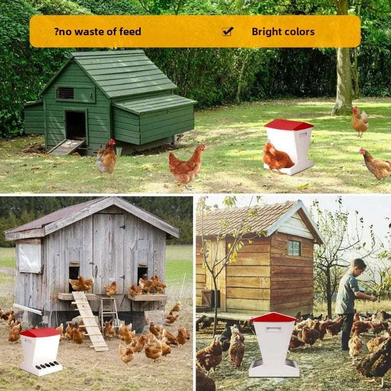 Comedero Vertical Automático de Acero para Pollos