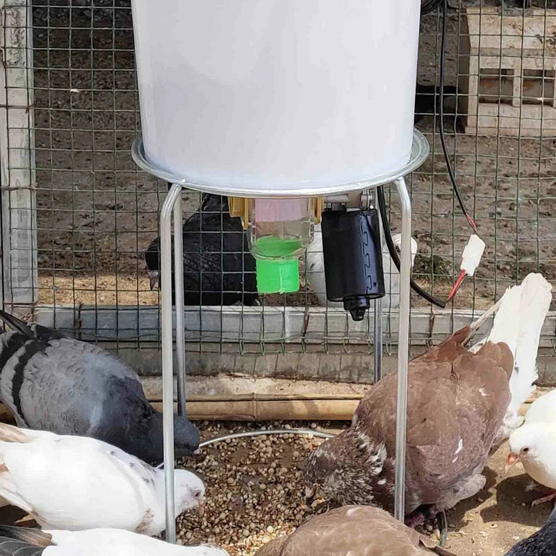 Auto Feeder Auto Chicken Feeder Pellet Funnel Pigeon Chicken Duck Carrier Pigeon Automatic Chicken Feeder Pigeon 200-900g/Min