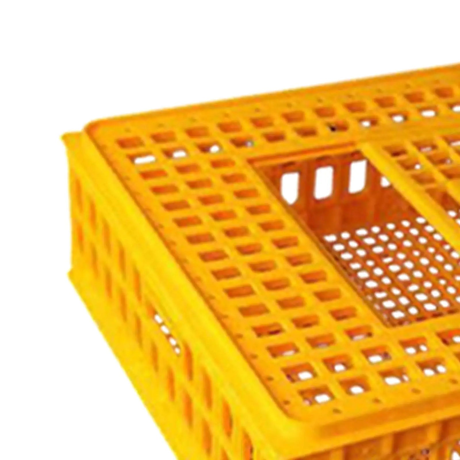 Jaula de Transporte de Pollos de Plástico – Alta Capacidad