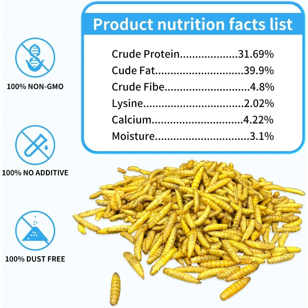 Larvas de Mosca Soldado Negra Alta Proteína para Gallinas