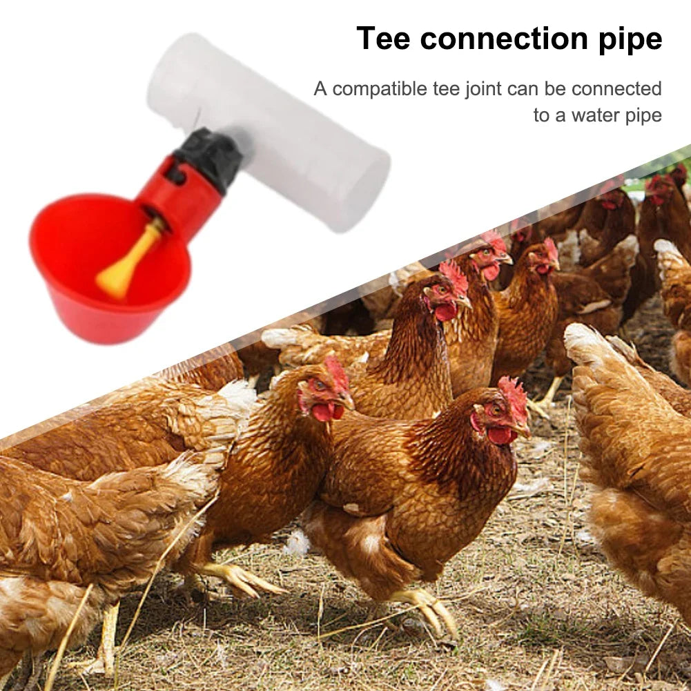 Conector Tee PVC 20/25mm para Bebedero Automático de Gallinas