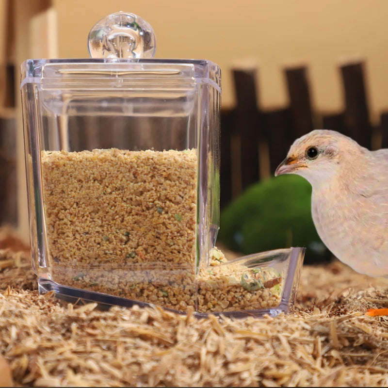 Foraging Feeder for Birds Parrot Automatic Quail Feeder Cage Bird Feeding System Cage Accessories for Parakeet Quail Pet Chicken
