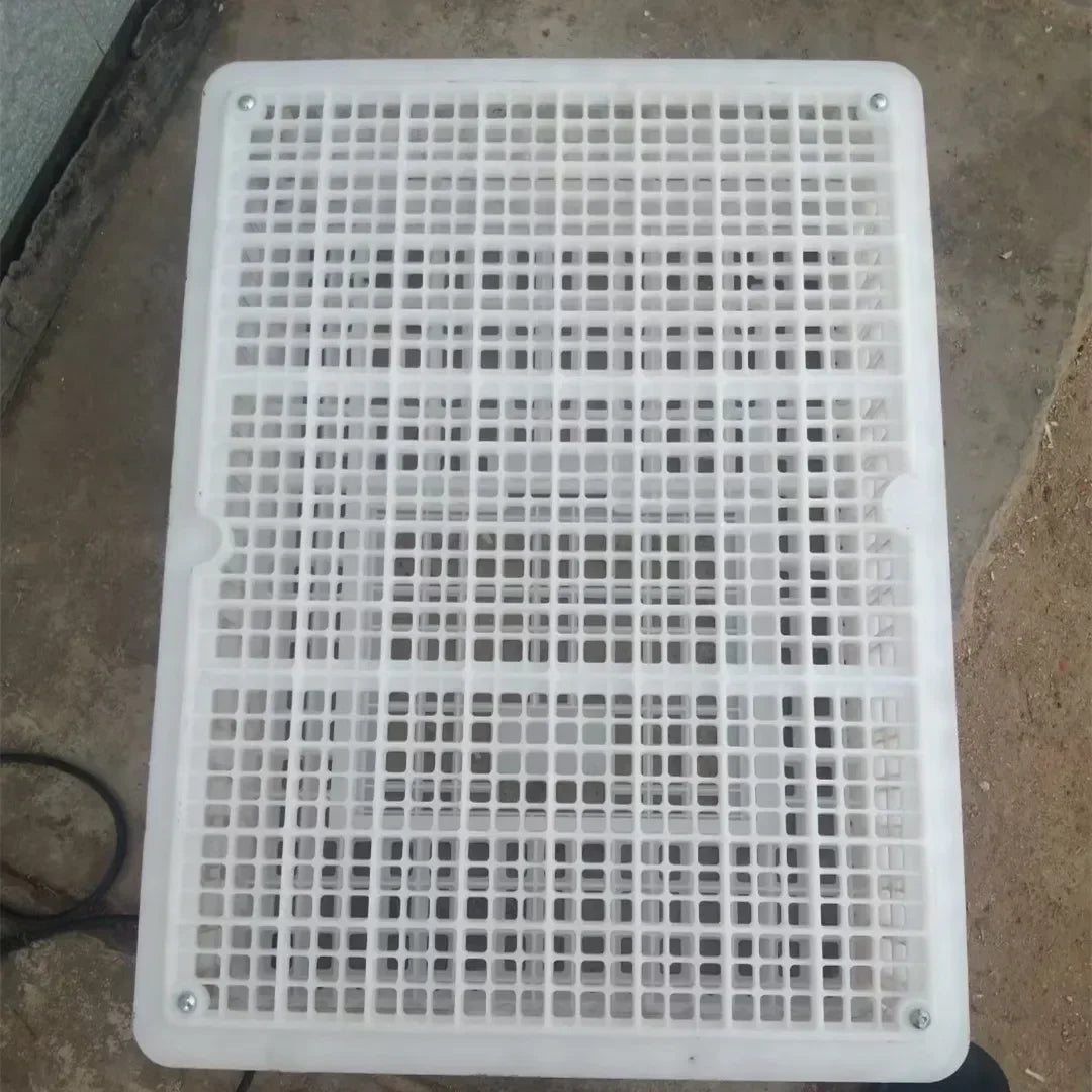 Caja de Transporte de Pollo de Plástico