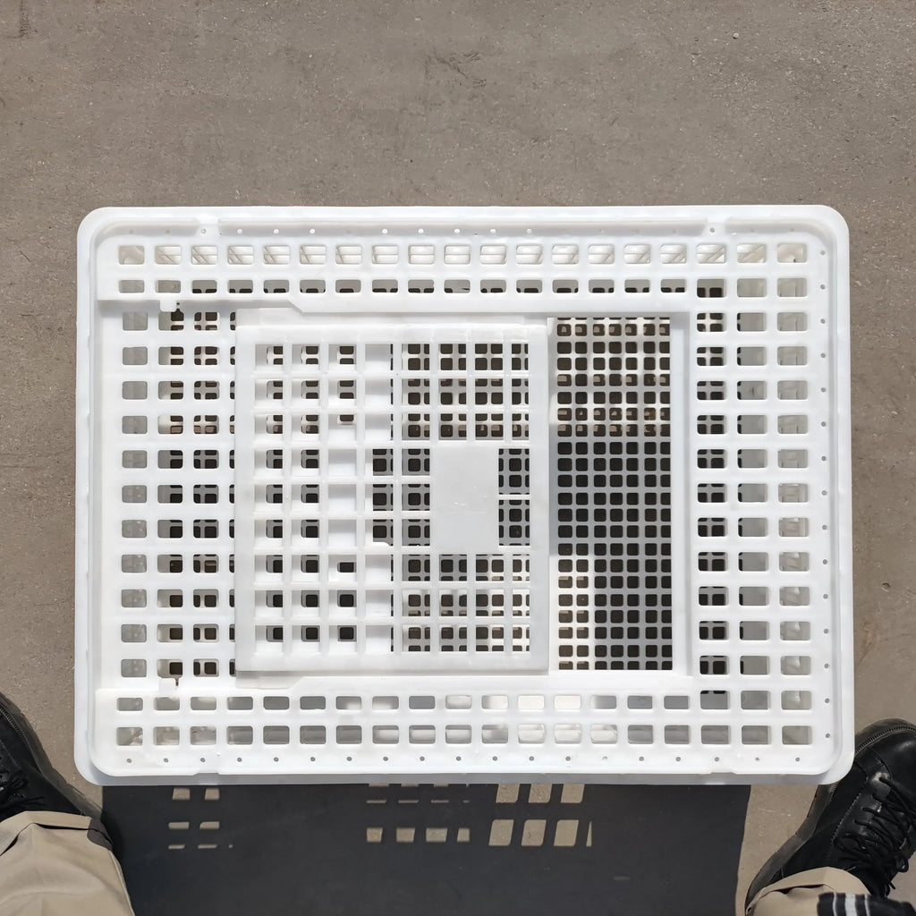 Caja de Transporte de Pollo de Plástico