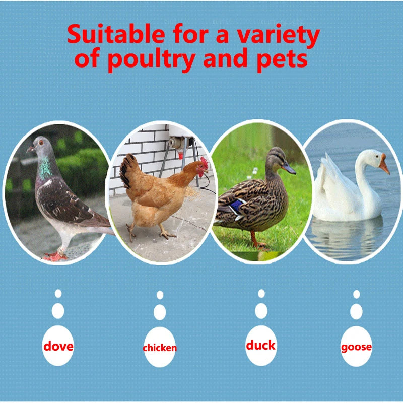 Comedero Automático Inteligente para Pollos y Palomas