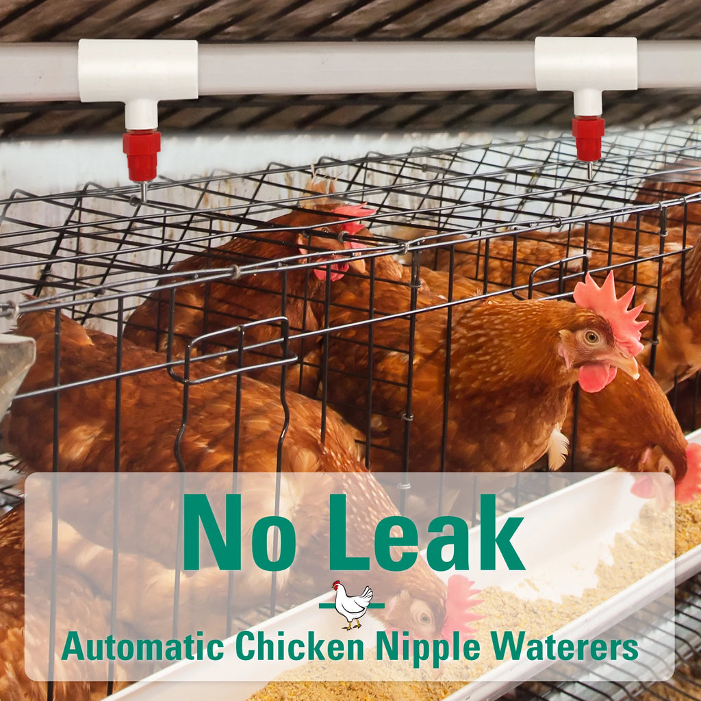 Kit Bebederos Automáticos con Niples PVC para Gallinas