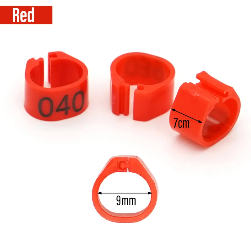 Anillos para Pies de Paloma y Aves de Corral – Pack 100