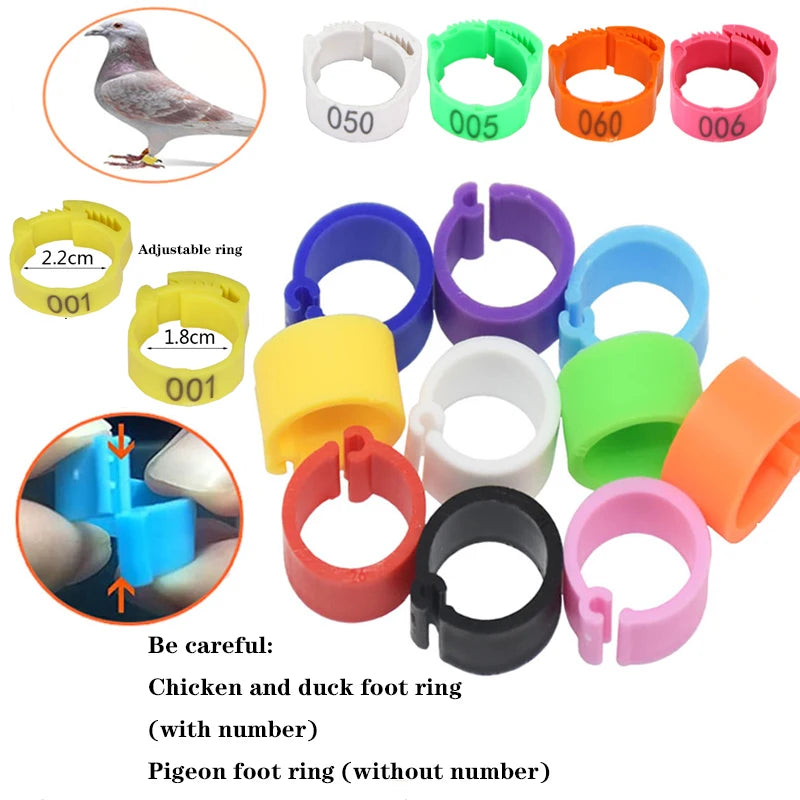 Anillos para patas de pollo, cierre de etiqueta de plástico ajustable para patas de aves de corral, Clip de trinquete Digital, herramienta de alimentación para granja de patos, palomas y gansos, 25/100