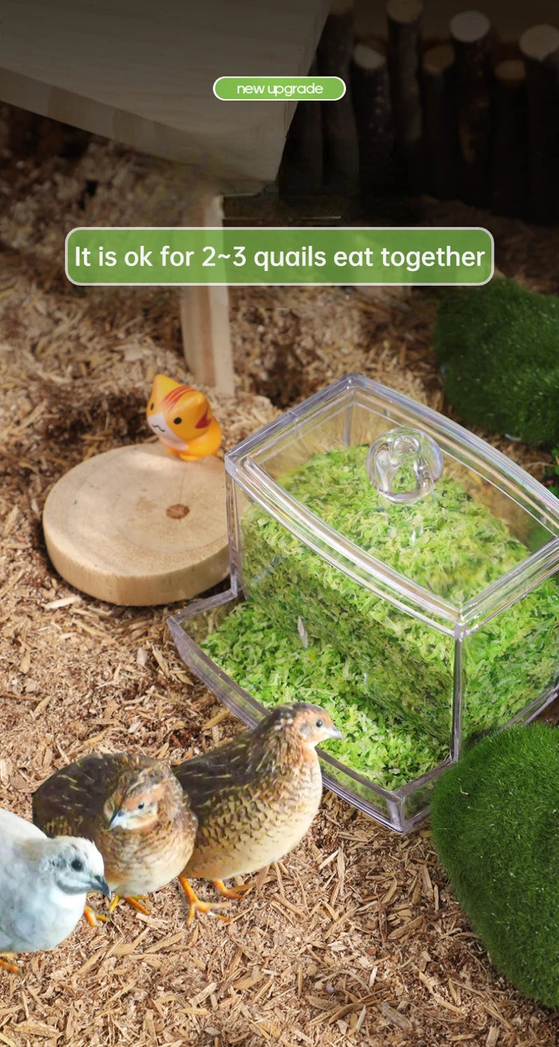 Automatic Quail Feeder Foraging Feeder for Birds Parrot Cage Bird Feeding System Cage Accessories for Parakeet Quail Pet Chicken