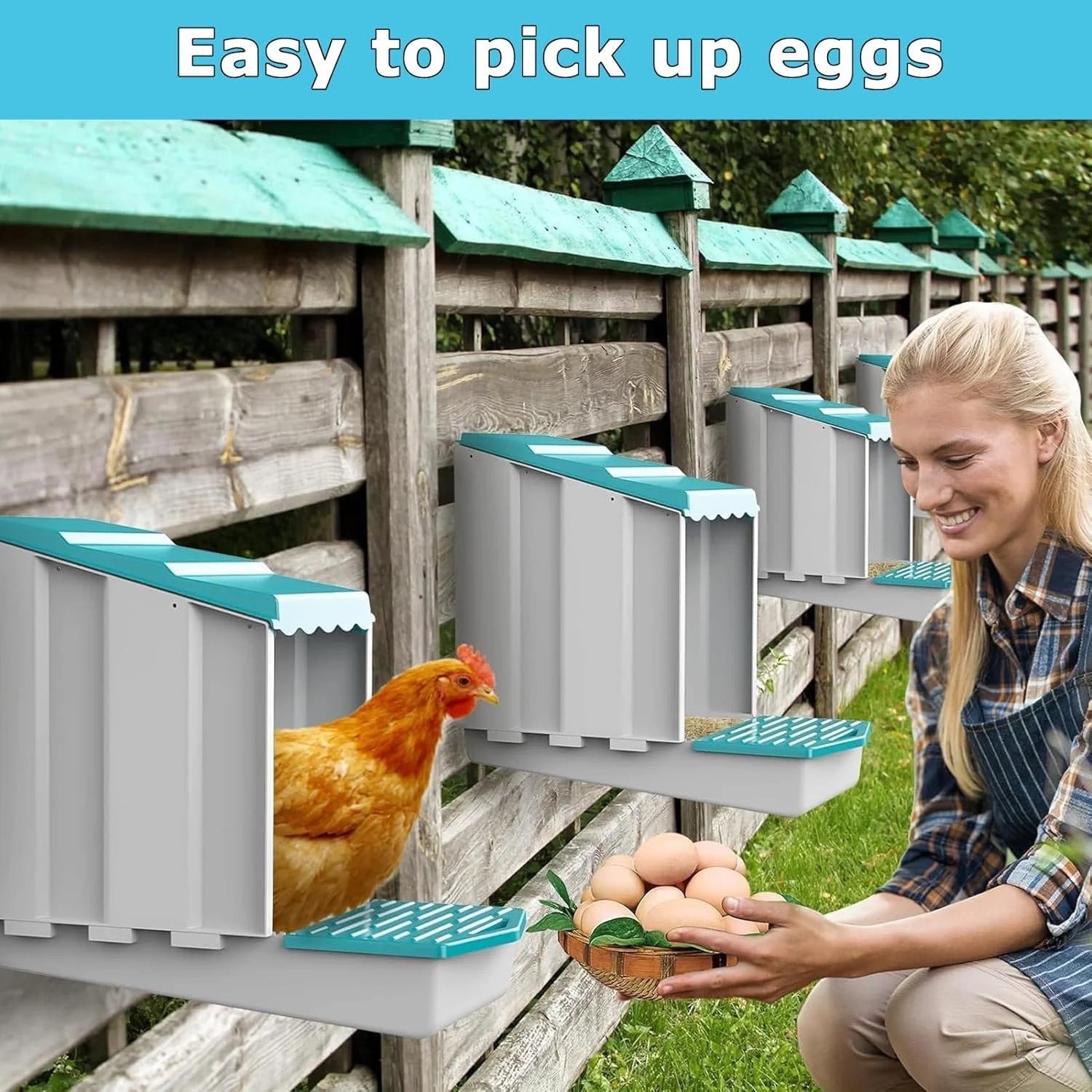 Cajas de Nido de Pollo de Plástico con Sistema de Huevos Enrollables