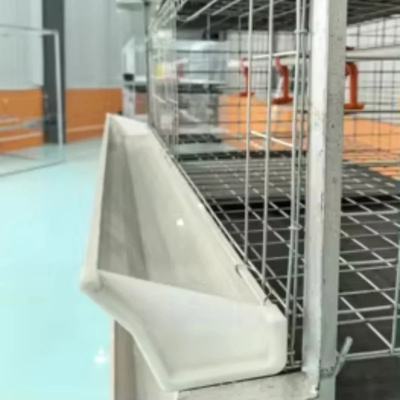 Gallinero Profesional para Pollos de Engorde