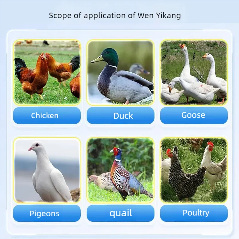 Tratamiento Líquido 250ml para Resfriado y Diarrea en Gallinas