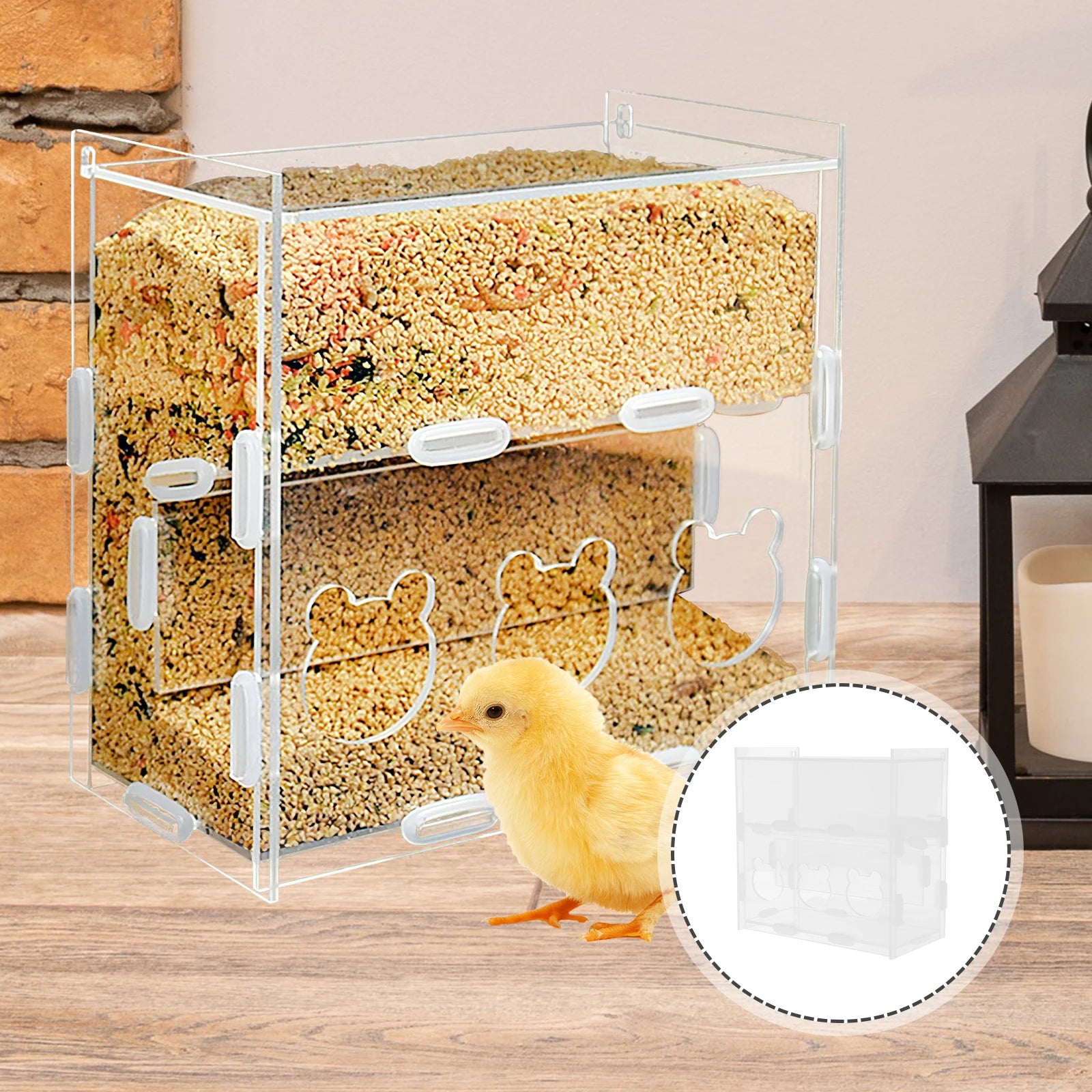 Comedero Acrílico Antiderrame para Aves