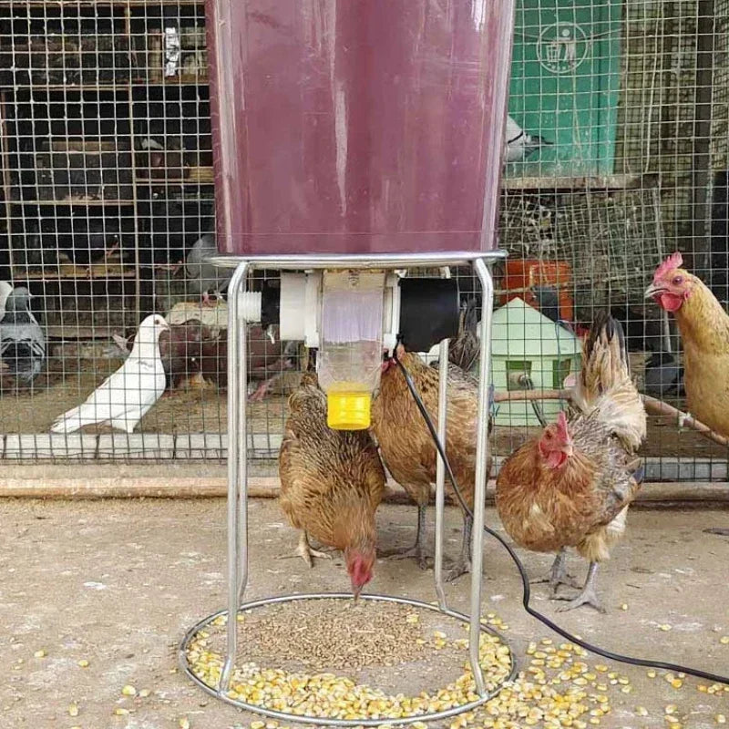 Alimentador Automático WiFi Programable para Gallinas