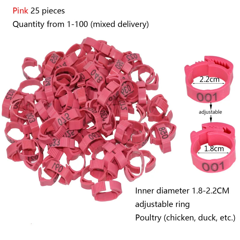 Anillos para patas de pollo, cierre de etiqueta de plástico ajustable para patas de aves de corral, Clip de trinquete Digital, herramienta de alimentación para granja de patos, palomas y gansos, 25/100