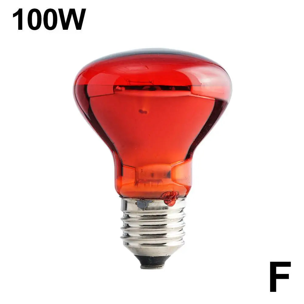 Bombilla calefactora para aves de corral E27, 25W-100W, aislamiento infrarrojo, calefacción para reptiles, plantas, anfibios, mascotas, herramientas de lámpara para ganado