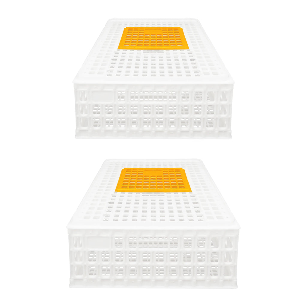 Jaula Plástica de Transporte para Pollos 2 uds