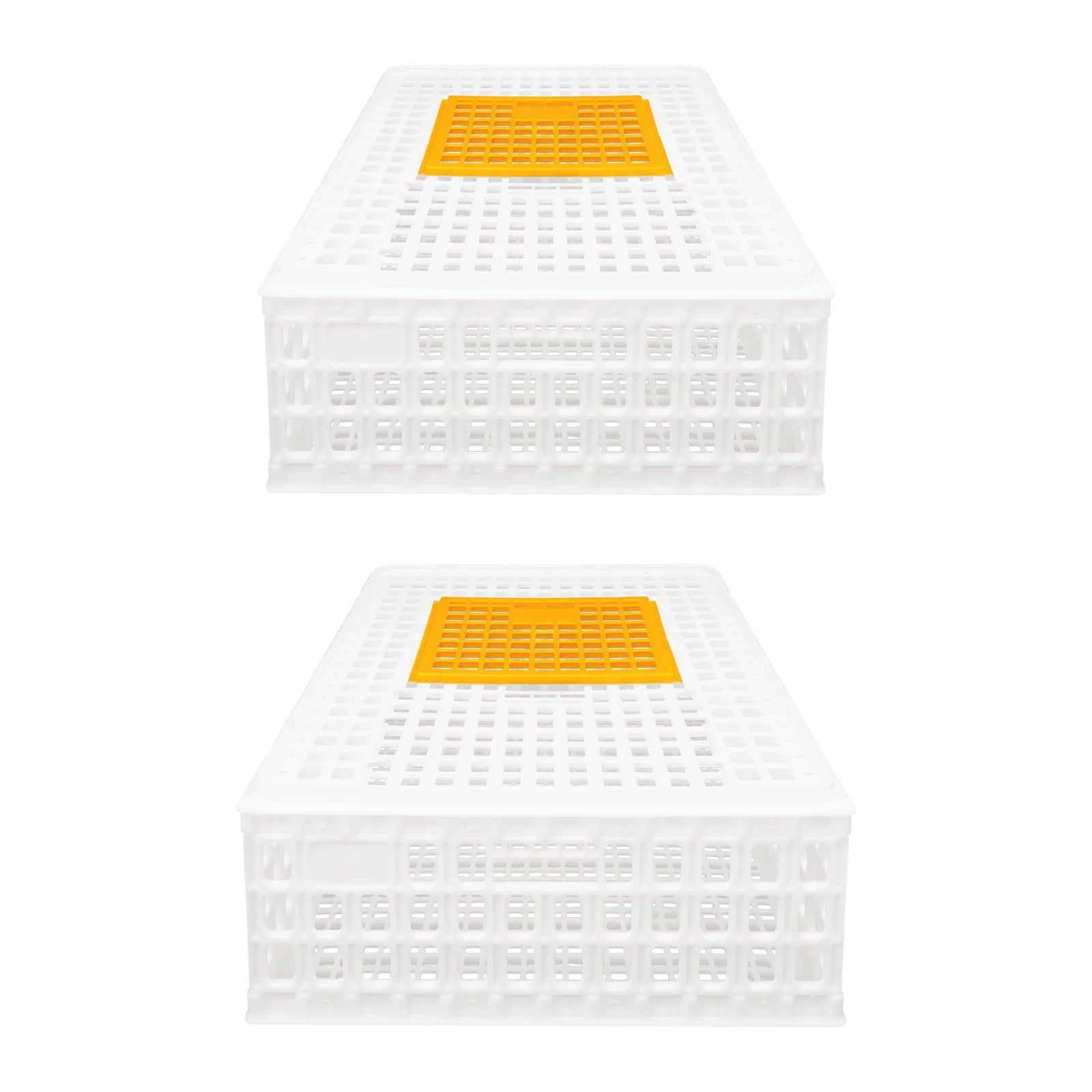 Jaula Plástica de Transporte para Pollos 2 uds