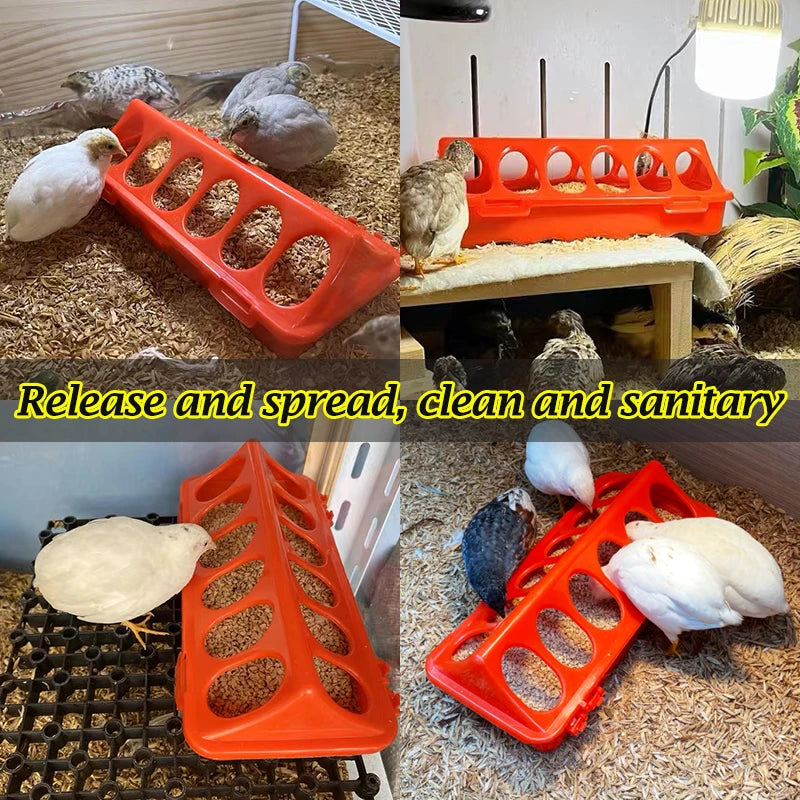 Poultry Double Row Ground Feeder, Chicken Bird Pigeon Flip-Top Anti-Spread Rearing Trough, Farm Breeding Feeding Bucket 20/30cm