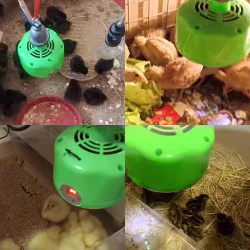 Calentador de gallinero, lámpara de calor de pollo con sincronización, calentador inteligente para chocadeira de pollitos con Control de temperatura para aves de corral, pollitos, reptiles, perros y gatos