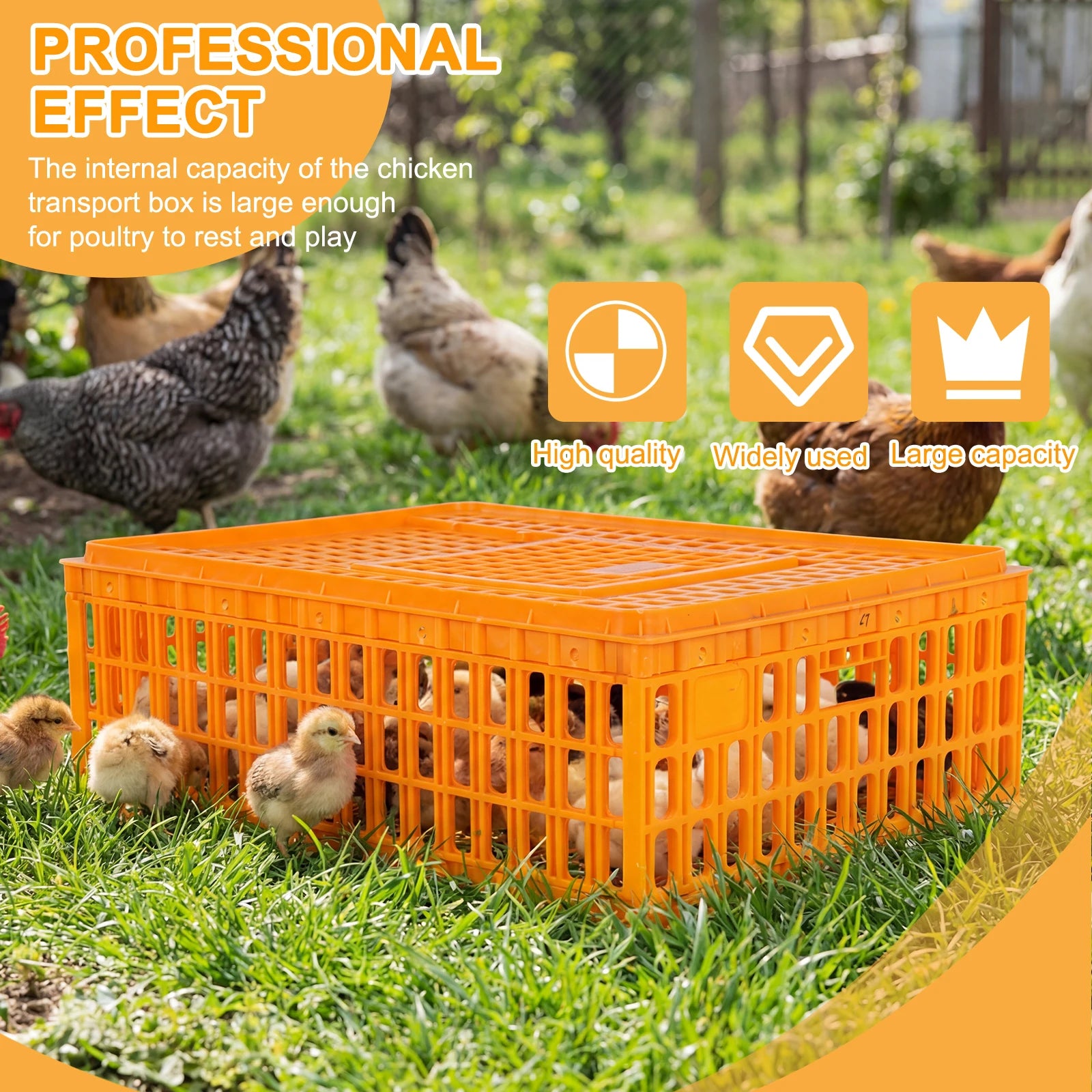 Jaula de Transporte de Plástico para Pollos – Pack 6