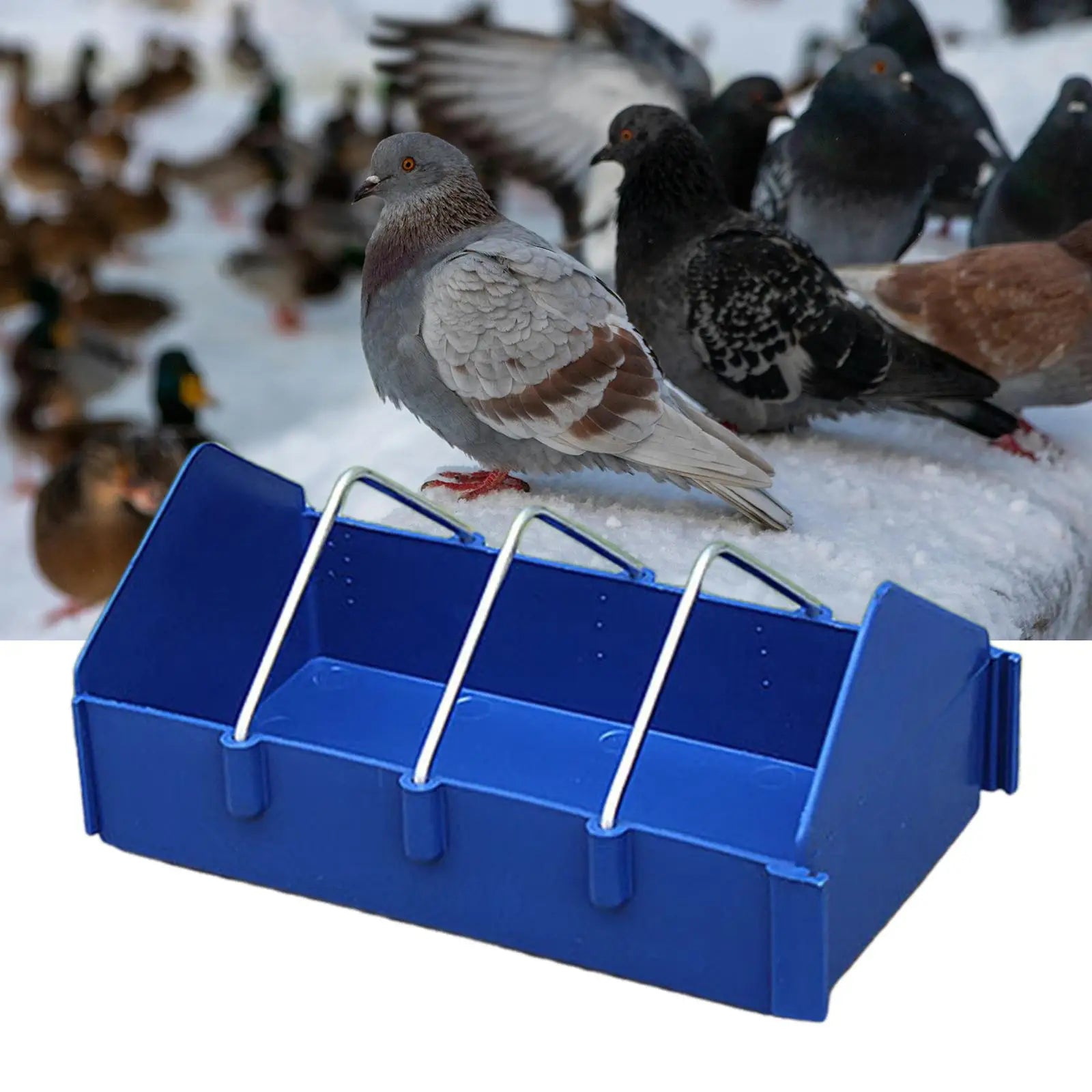 Pigeon Feeder Poultry Feeder Birdhouses feed Supplies Chicken Feeder Trough Food Water Dispenser Container 20cm Hens Gooses