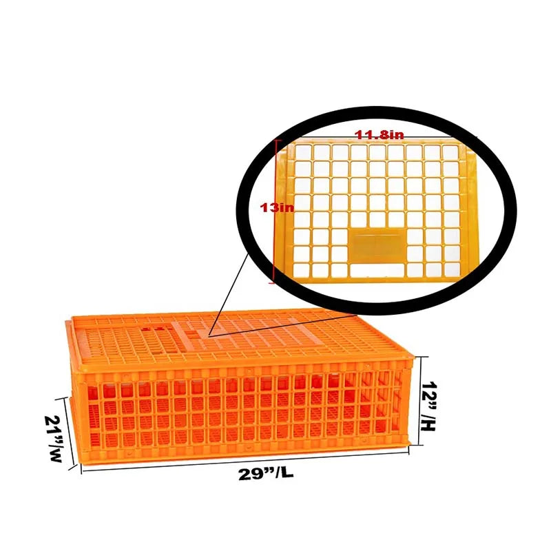 Caja de Transporte de Pollos – Jaula Plástica Grande