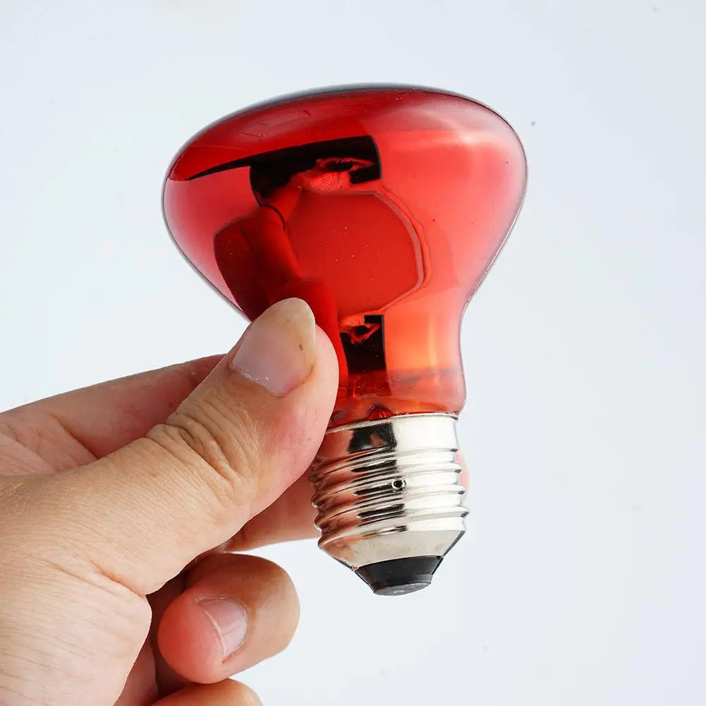 Bombilla calefactora para aves de corral E27, 25W-100W, aislamiento infrarrojo, calefacción para reptiles, plantas, anfibios, mascotas, herramientas de lámpara para ganado