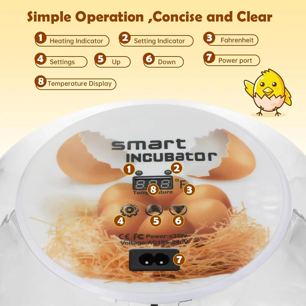 Incubadora de huevos de ganso y pollo pequeño para el hogar, agregue automáticamente el agua, Control inteligente de temperatura, 12 incubadoras
