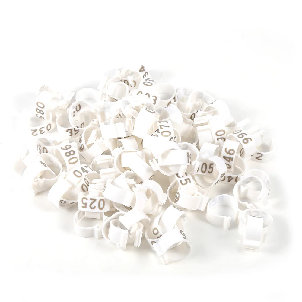 Anillos Numerados de Plástico para Patas de Aves – Pack 100 (16mm, 6 Colores)