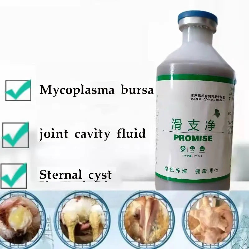 Suplemento Nutricional 250ml para Articulaciones y Respiración en Gallinas