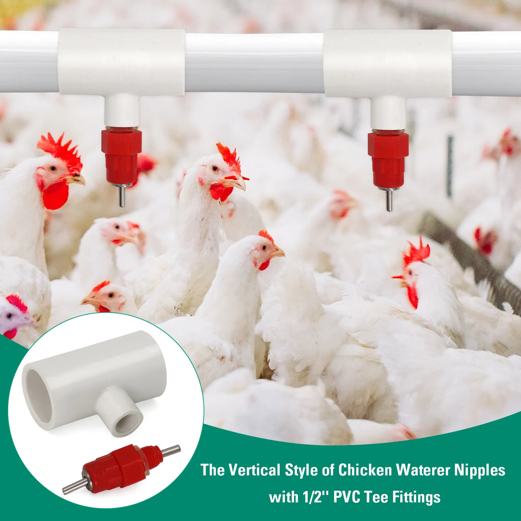 Kit Bebederos Automáticos con Niples PVC para Gallinas