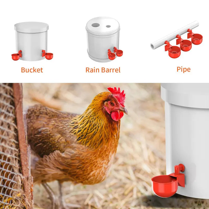 Alimentador de agua para pollos, bebedero de llenado automático, cuenco para beber aves de corral, pollitos, patos, pájaros, tortas, Etc., 12 Uds., tazas grandes
