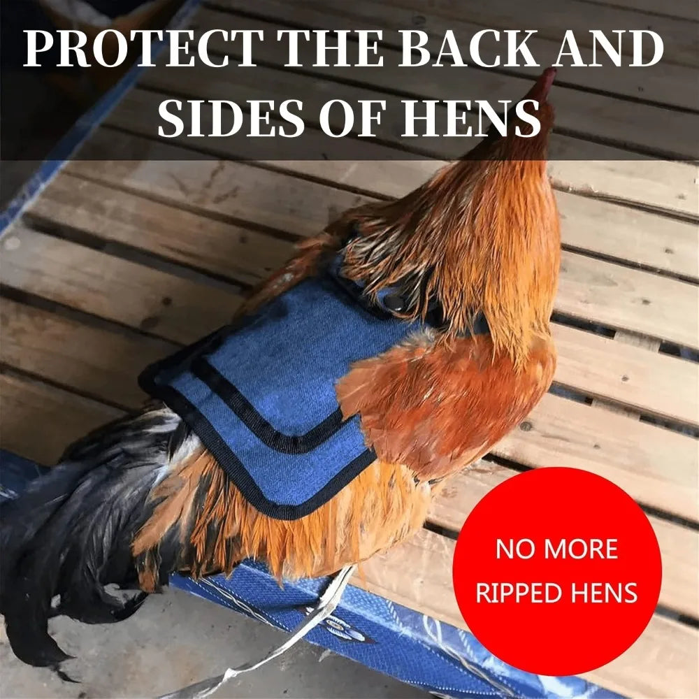 Sillín Protector Ajustable para Gallinas Chaqueta Plumas