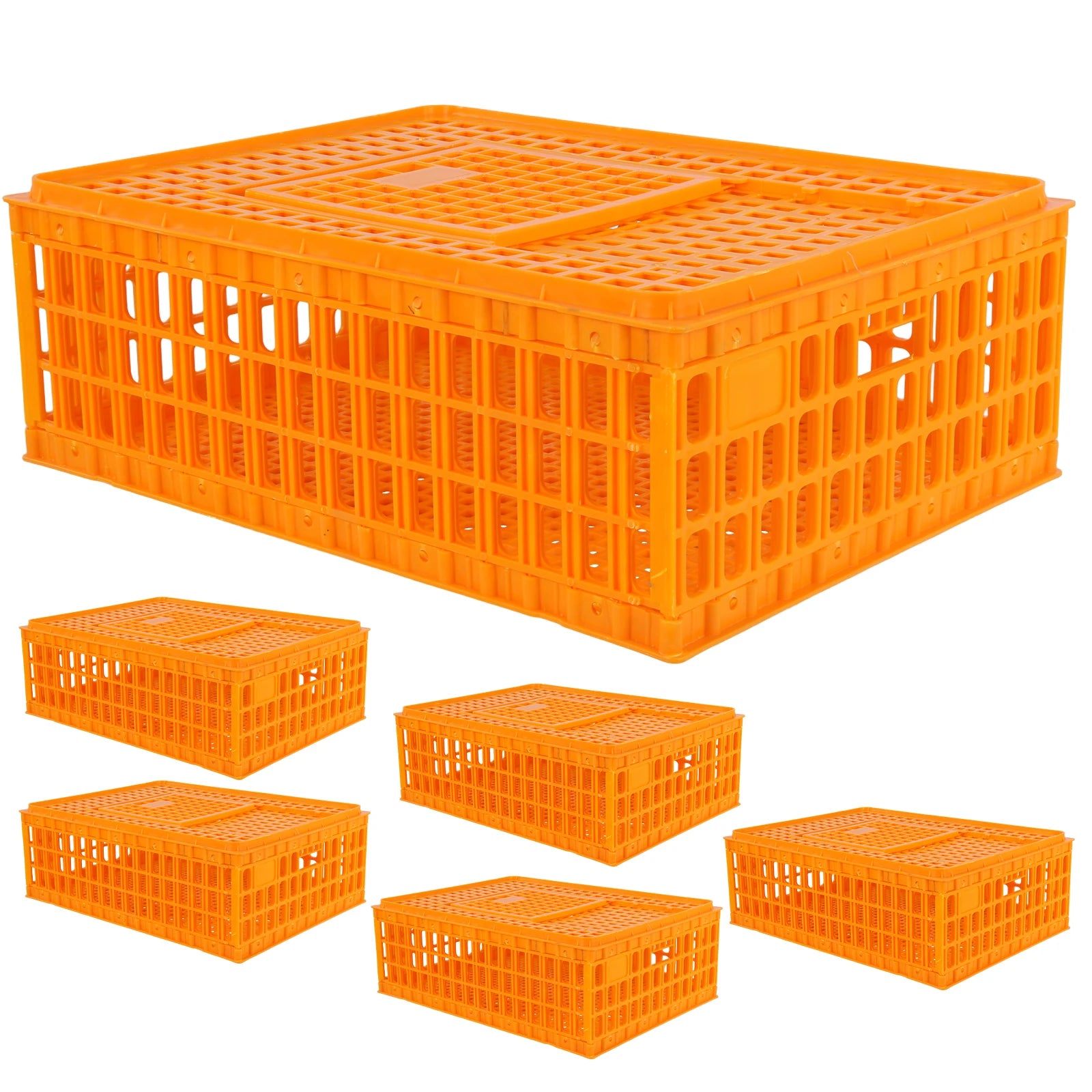 Jaula de Transporte para Pollos – Pack 6 Apilable