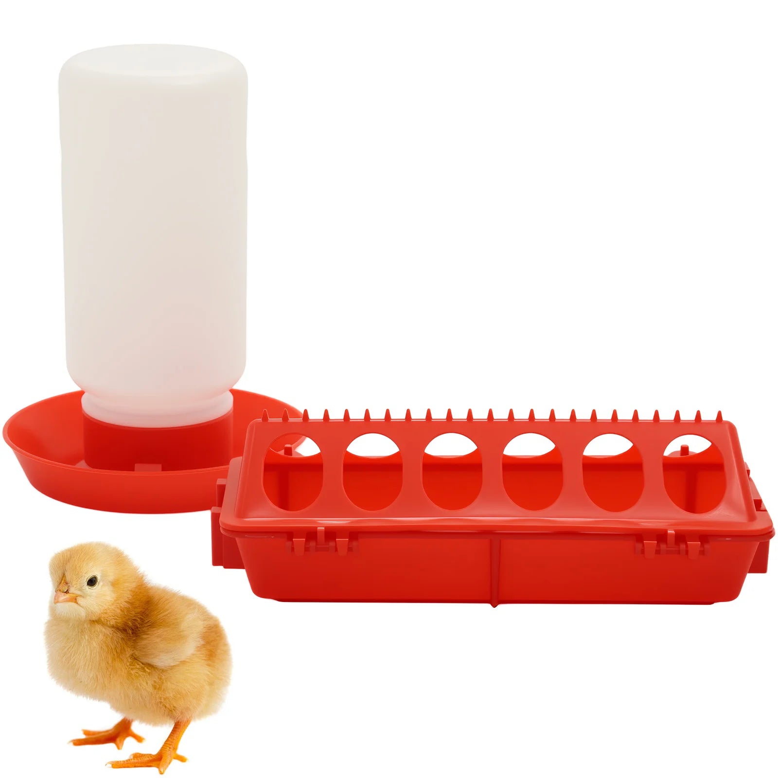 Chicken Feeder Automatic Water Feeder For Chicks Quails Chicks Feed Box Automatic Feeder Small Automatic Water Dispenser