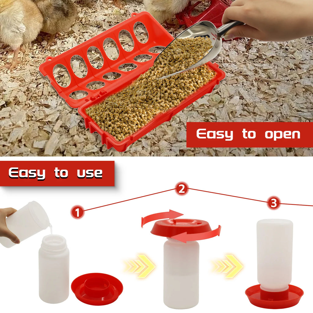 Comedero Lineal y Bebedero 1L Automático para Gallinas