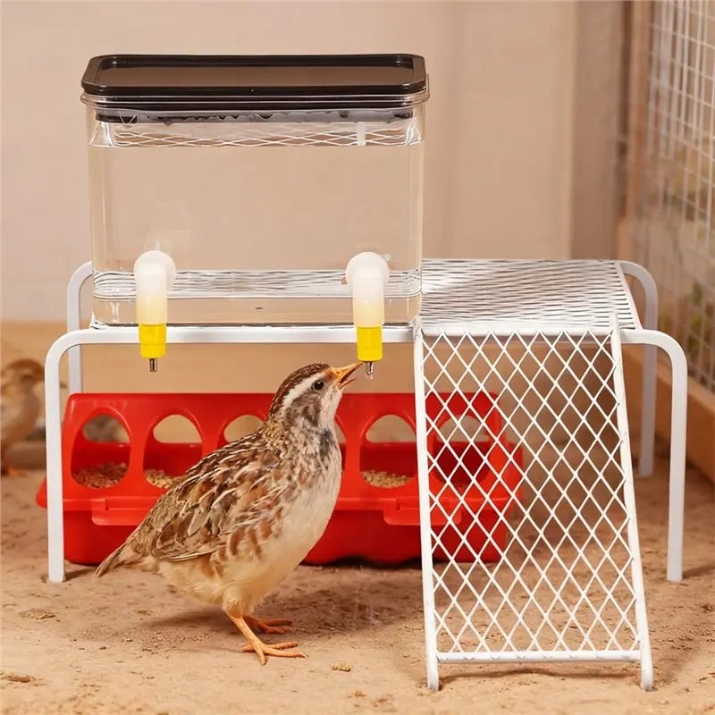 Bebedero Automático 800ml con Doble Boquilla para Gallinas