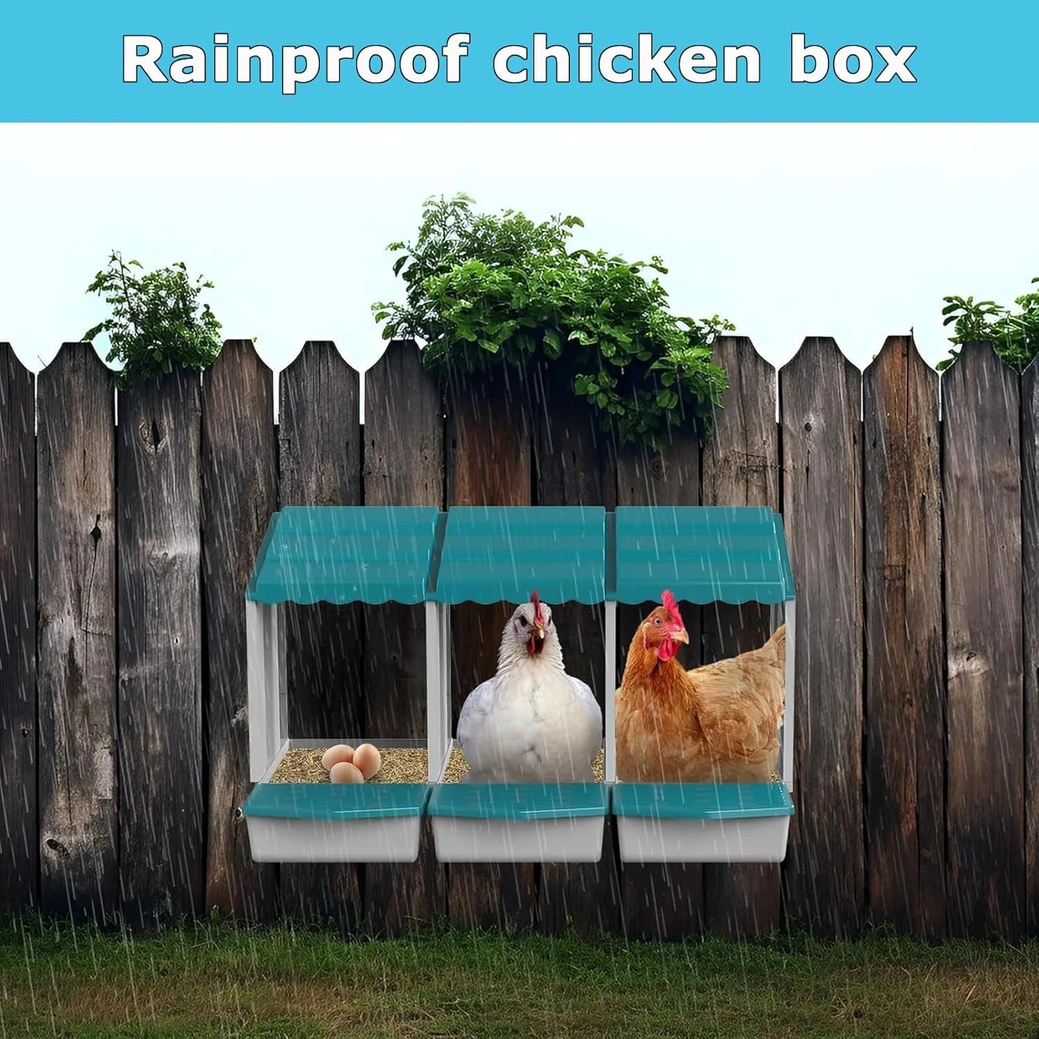 Cajas de Nido de Pollo de Plástico con Sistema de Huevos Enrollables