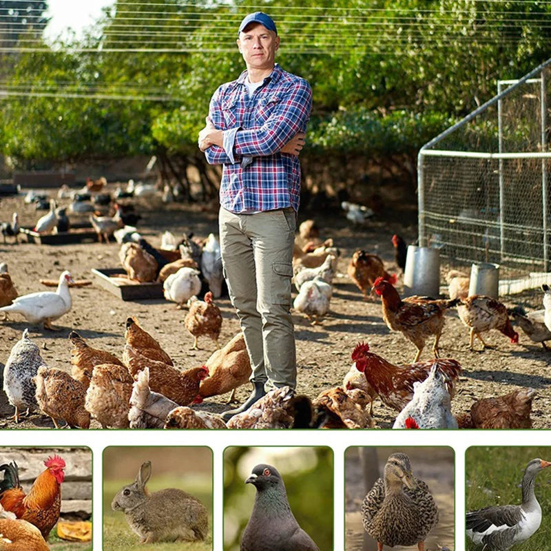 Jaula Grande para Gallinas de Exterior con Cubierta