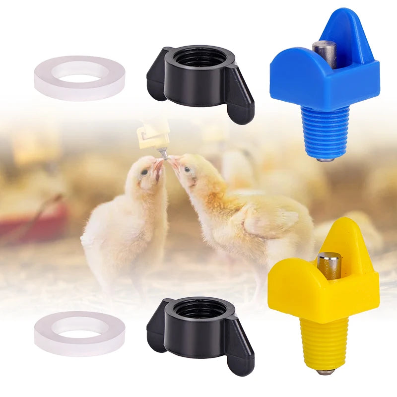 Bebederos Automáticos para Pollos 5/10/20 Piezas