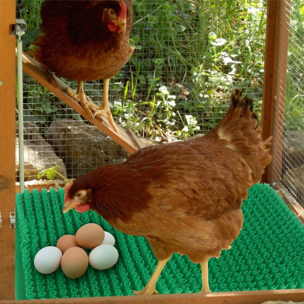 Alfombrillas de Plástico para Nido de Pollos – 1/2 Piezas