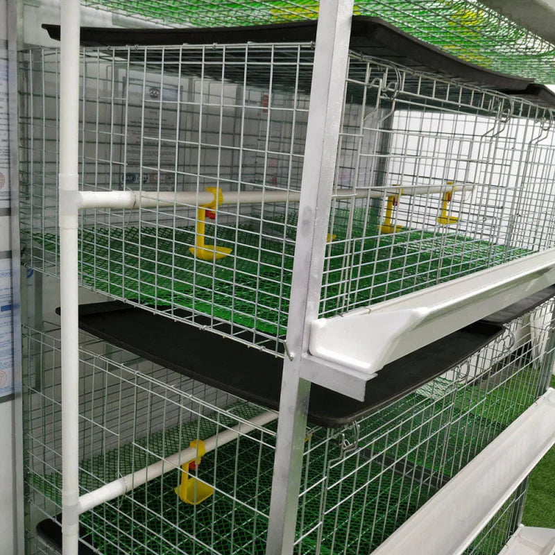 Gallinero Profesional para Pollos de Engorde