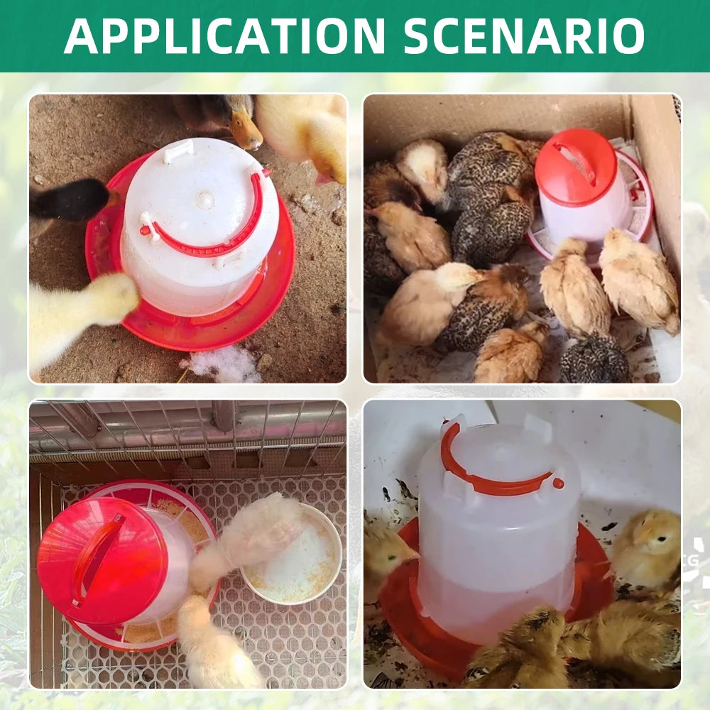 3kg+3L Poultry Feeder And Waterer Water Food Dispenser Automatic Chicken Birds Chick Waterer Feeding Bucket Container Supply