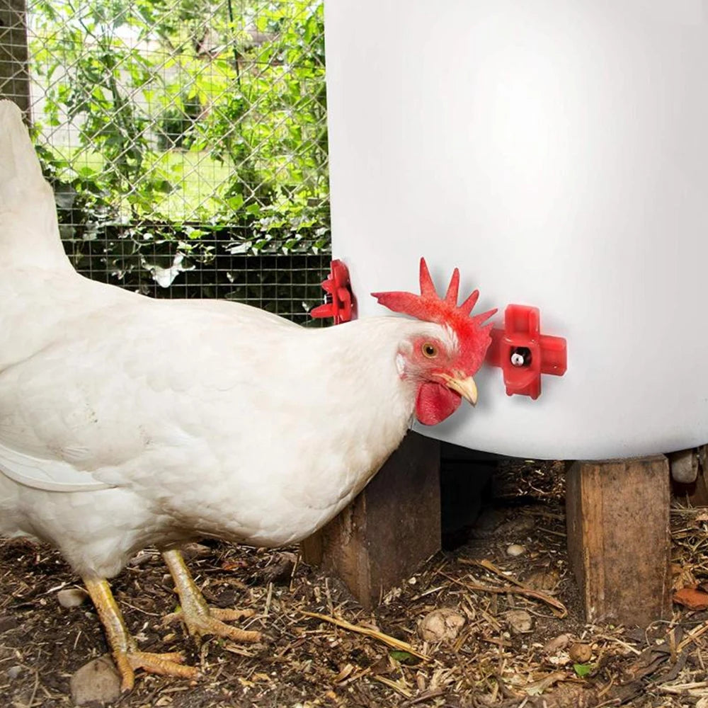 12 Uds bebedero automático para pollos gallinas codorniz pájaros cuencos para beber gallinero pollito tetina bebederos aves de corral para suministros de animales
