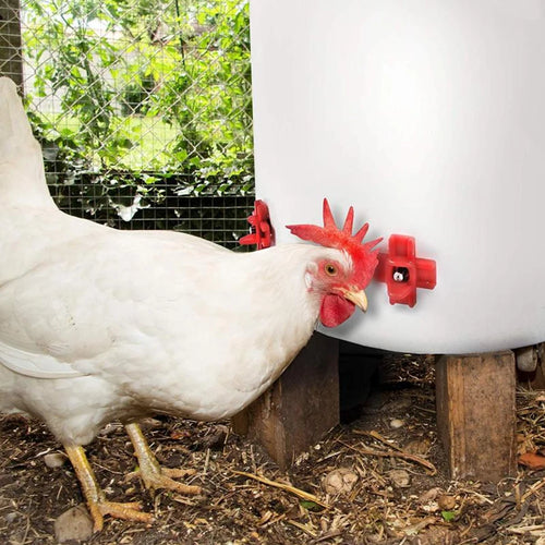 12 Uds bebedero automático para pollos gallinas codorniz pájaros cuencos para beber gallinero pollito tetina bebederos aves de corral para suministros de animales