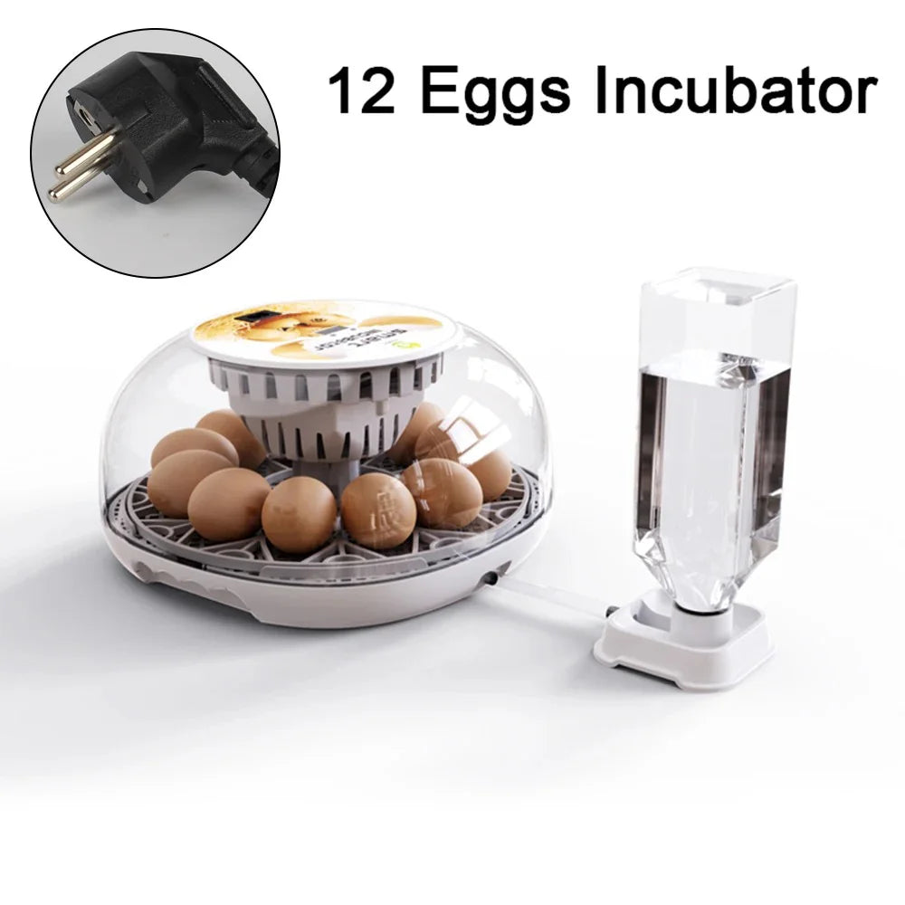 Incubadora de huevos de ganso y pollo pequeño para el hogar, agregue automáticamente el agua, Control inteligente de temperatura, 12 incubadoras