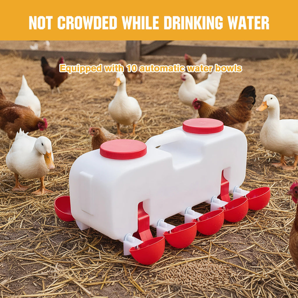 Bebedero Automático 10 kg para Pollos con 10 Vasos