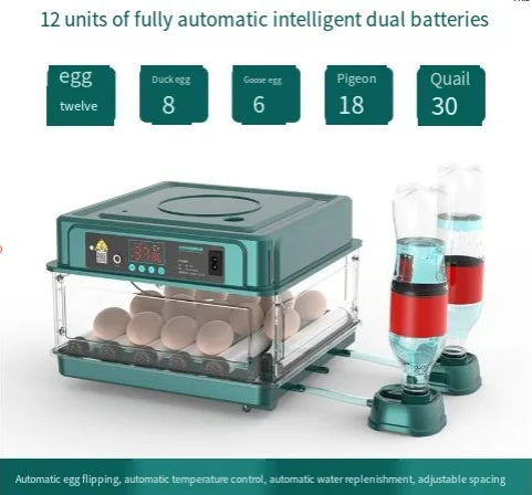 Incubadora Automática 12–38 Huevos con Volteo y LED